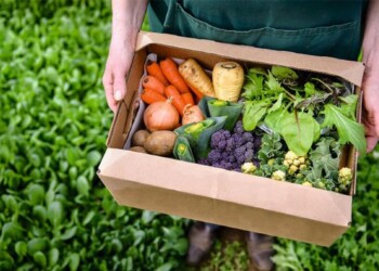 Misiones adhirió a la Ley Nacional de Promoción de la Producción Orgánica