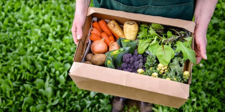 ECONOMÍAS REGIONALES. La producción se refiere a la generación de productos primarios para consumo fresco.