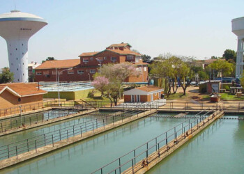 Samsa aumenta 12% mensual y ya acumula 130% durante 2024