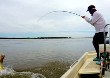 Misiones dispuso la veda en los ríos Paraná, Uruguay e Iguazú