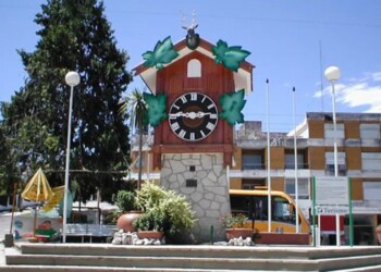 Ante una emergencia durante un viaje de egresados, “la empresa toma la decisión”