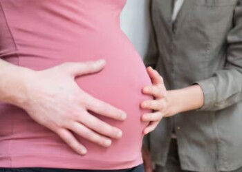 La Corte Suprema rechazó la demanda de un matrimonio gay para ser progenitores únicos