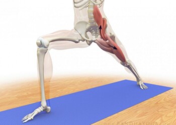 El músculo del alma