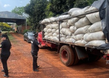 Intentaron vender más de 6 mil kilos de yerba mate robados a un colono