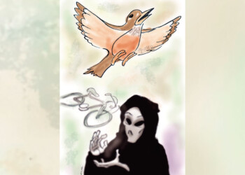 Escritores de Misiones: Orejas