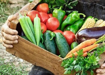 Los precios de los agroalimentos se multiplicaron por 3,5 veces en octubre