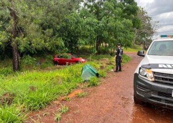 Desvió un perro en la ruta y terminó hospitalizado tras despistar