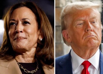 Elecciones en Estados Unidos: cuándo se conocerán los resultados