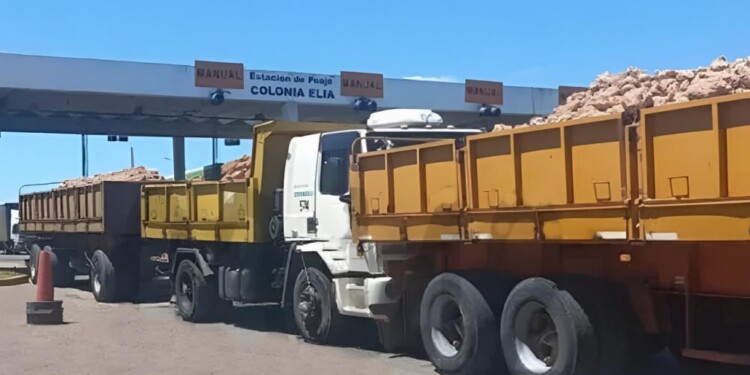 El hecho ocurrió en Entre Ríos. Foto: Mercurio Noticias