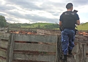 “Plomo y a la bolsa”: ganaderos hartos de robos, analizan medidas drásticas