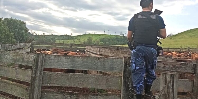 SEGURIDAD. Las comisarías rurales no dan abasto para cubrir el vasto territorio rural y los robos se multiplican.