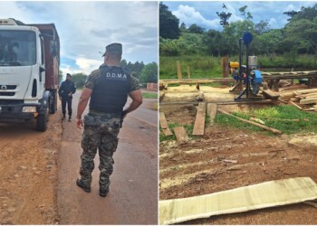Secuestraron más de 20 rollos de madera nativa cortados ilegalmente
