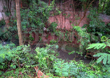 Advierten que un arroyito socava base de casas en el barrio Belgrano