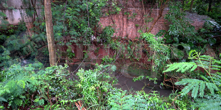 COMPLICADO. El cauce del arroyo se ensanchó y las bases de los muros de las viviendas están casi en el aire. Piden los vecinos que se complete el saneamiento en los metros que restan hasta la avenida López Torres.