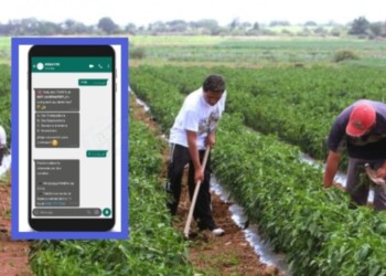El RENATRE lanzó nuevo canal de denuncias anónimas a través del WhatsApp