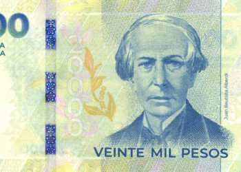 Comenzó a circular el nuevo billete de 20.000 pesos