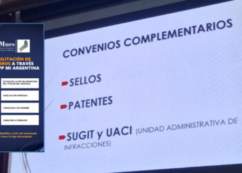 Autorización digital de manejo a terceros: “Hoy no es válida en los países limítrofes”