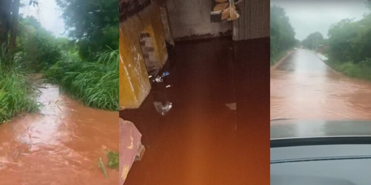 Fotos gentileza Norte Misionero