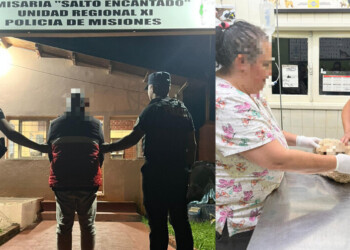 Salto Encantado: detuvieron al hombre que asfixió y golpeó a un perro caniche