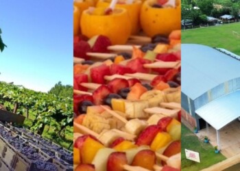 Con una fiesta, Almafuerte homenajea la agricultura responsable y sostenible