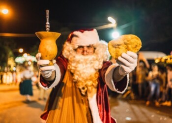 Jorge Rojas, La Mosca y Matías Valdez, serán algunos de los artistas que animarán la Fiesta Nacional de la Navidad del Litoral