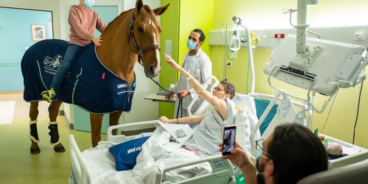 France-Calais 11/18/2020 Palliative care center at the Calais hospita "Peyo is very important, we are happy to see him" confides me Amandine the mother of Isac.