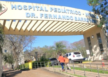 Dijo que un perro mordió a su hijo, pero las lesiones son de una golpiza