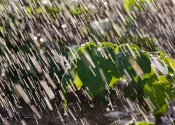 Lluvias llegaron al promedio del mes y “La Niña” sigue perdiendo fuerzas
