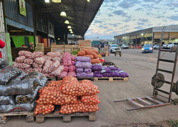 Fuerte baja de precios en frutas y verduras en el Mercado Central