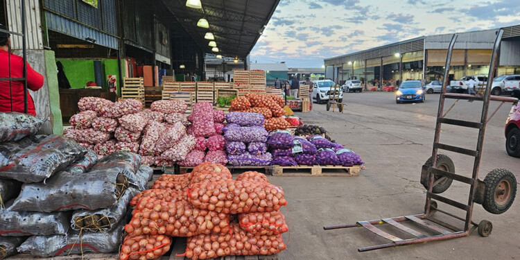 PESE AL FRÍO. Los precios de las principales frutas y verduras se mantienen en el Mercado Central, con el agregado de que también se puede comprar por menor.