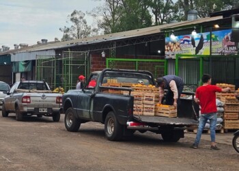 Al menos 30 artículos de la canasta de frutas y verduras bajaron los precios en el Mercado Central