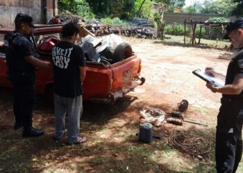 Detuvieron a un hombre y a un adolescente por robo de partes de vehículos