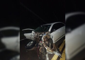 Accidente fatal en Misiones: una mujer brasileña murió y varias personas resultaron heridas en un choque