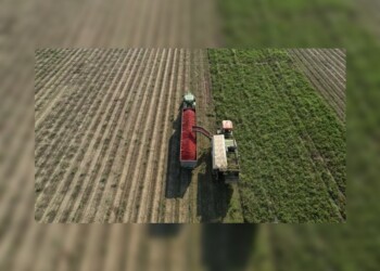 El Gobierno derogó cerca de 20 resoluciones en Agricultura