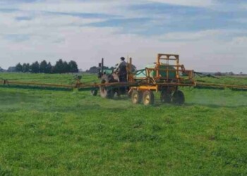 Biopreparados para mejorar la fertilización