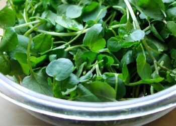 Qué es el agua de berros, el “superalimento” de moda