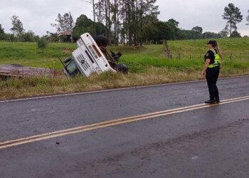 Un camión cargado con pinos despistó y volcó en Misiones