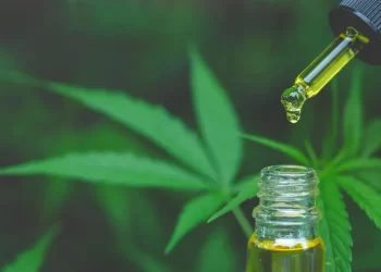 “La mitad de los misioneros usa aceite de cannabis”