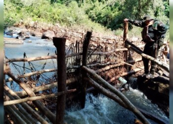 Guardaparques advierten la violencia de bandas de cazadores furtivos de Brasil