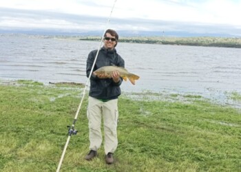 El coleccionista de medallas