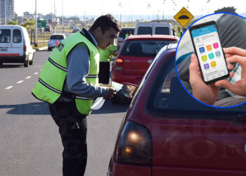 Cédula azul digital: cómo habilitar a otro conductor en la app Mi Argentina