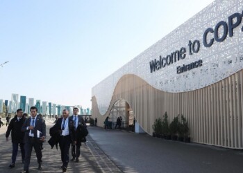 “Es un grave error del Gobierno argentino alejarse de las negociaciones del cambio climático”