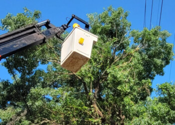 Este jueves varios sectores de Posadas tendrán cortes programados de energía