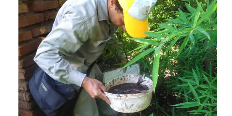CRIADEROS. Pese a las campañas, las familias continúan dejando recipientes que pueden convertirse en focos de Aedes.