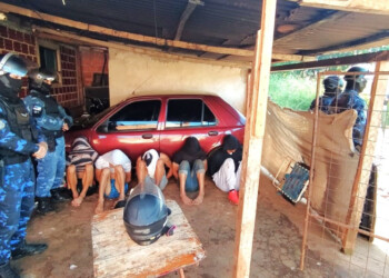 “Despertaron” a la banda de ladrones de la Chacra 192