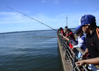 Una tarde de buen pique y diversión