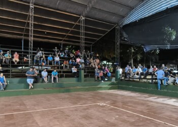 Productores yerbateros acordaron no cosechar hasta “lograr un precio justo”