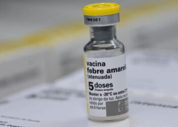 Para viajar a Brasil, recomiendan vacunarse contra la fiebre amarilla 10 días antes