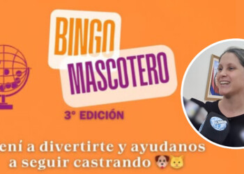 Tercera edición del Bingo Mascotero en Posadas