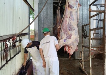 Relevan estándar sanitarios en los frigoríficos de Corrientes